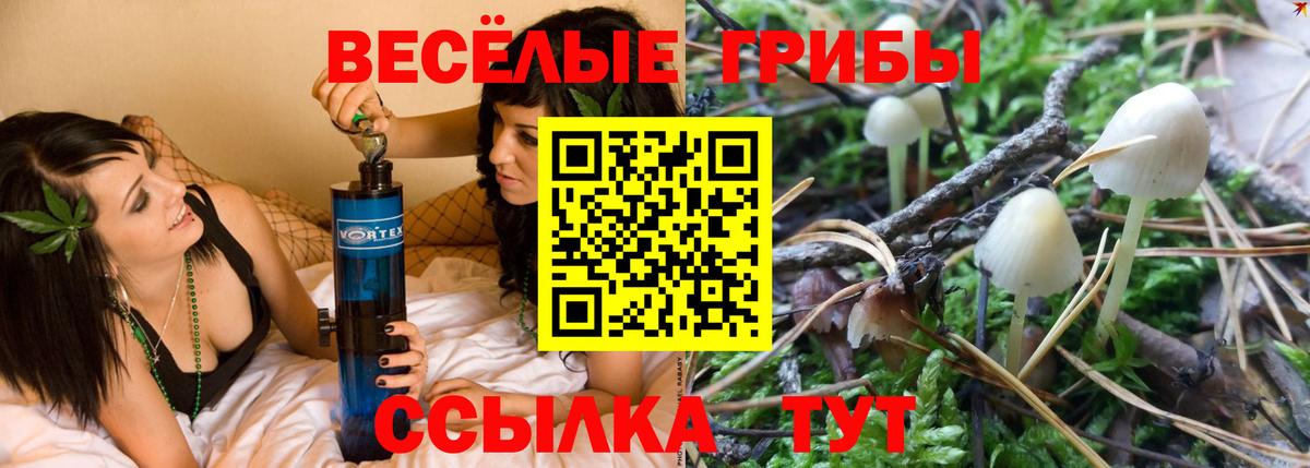 Псилоцибиновые грибы GOLDEN TEACHER Дмитров