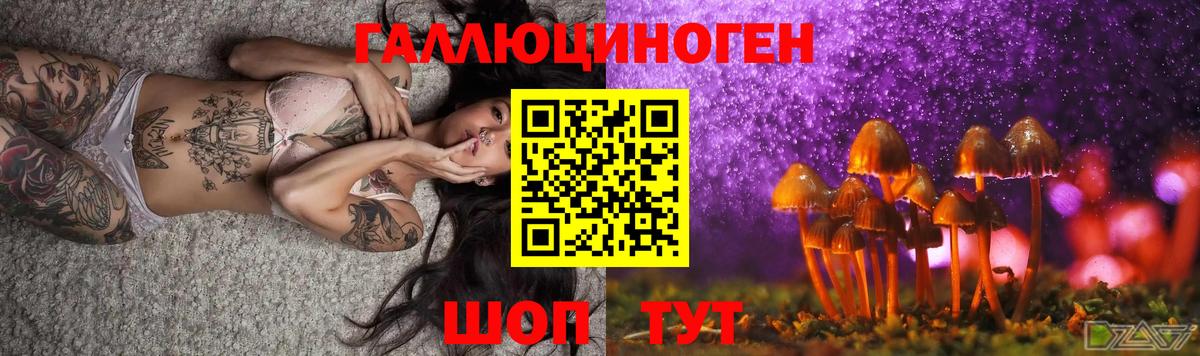 Псилоцибиновые грибы Magic Shrooms  Вход с VPN  Дмитров  Галлюциногенные грибы мухоморы 