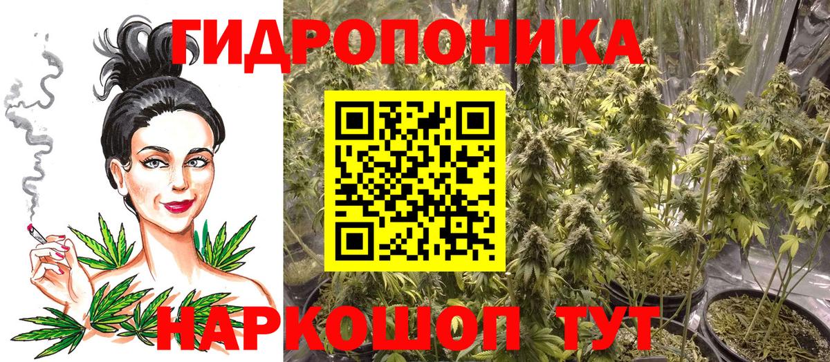 Дмитров  Канабис Bruce Banner  Вход с VPN  Канабис сатива  Канабис гибрид 